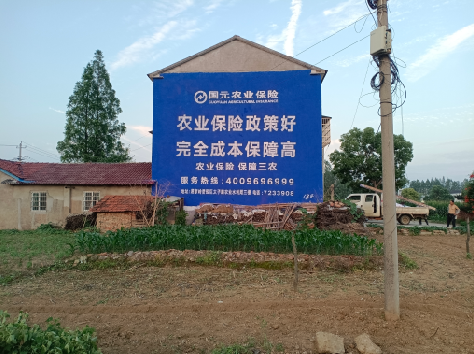 鲁甸墙体广告的优劣势你知道吗？