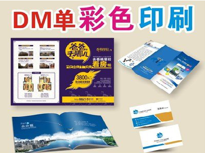 鲁甸单页印刷，色彩搭配简单。